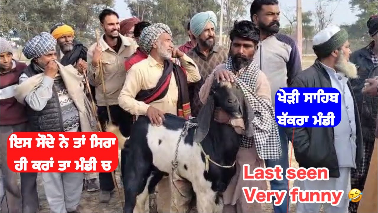 ਵੱਡੇ ਬੱਕਰੇ ਦਾ Live Soda |Best Beetle Goat in Punjab |Goat Farming in Punjab 