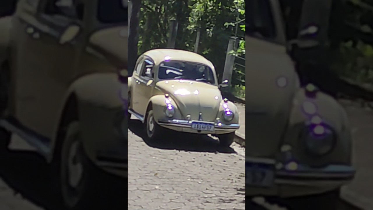 Eu sonhei 😱 #fusca1300 #fusca #fuscabrasil