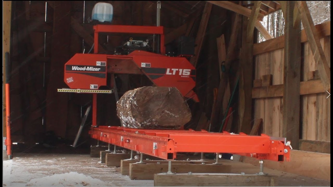 The Maple That Turned to Ash Part 2