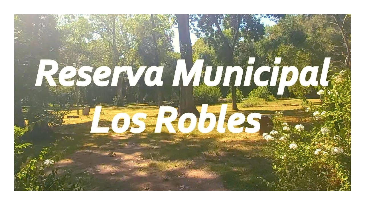RESERVA LOS ROBLES, Desconexión y Tranquilidad.