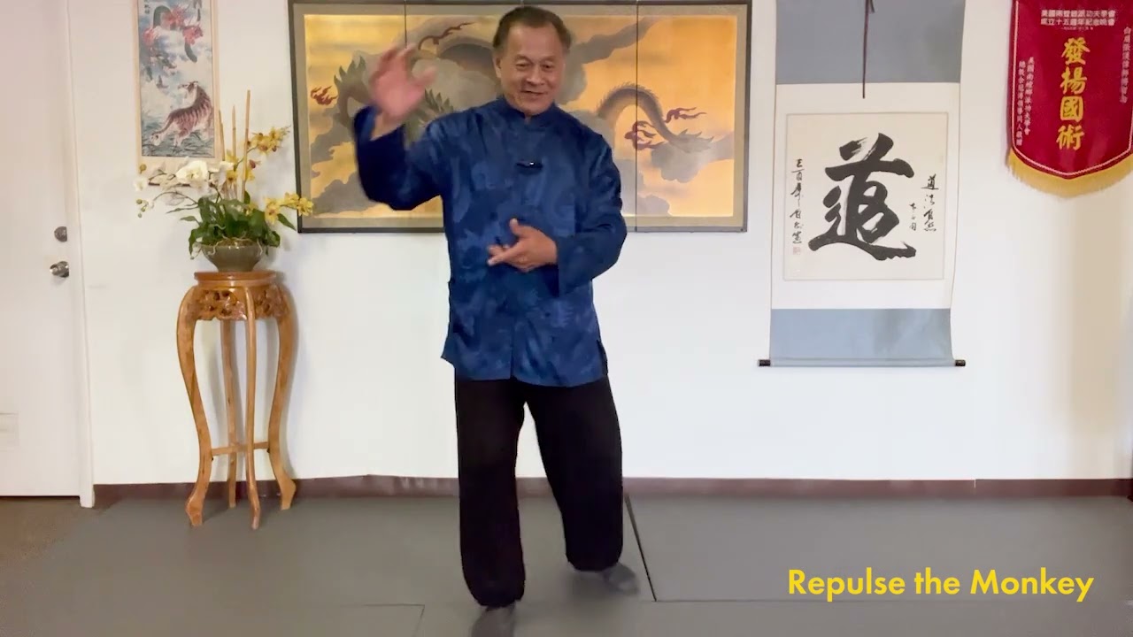 Tai Chi (Part 25) -  Section 2 Repulse the Monkey