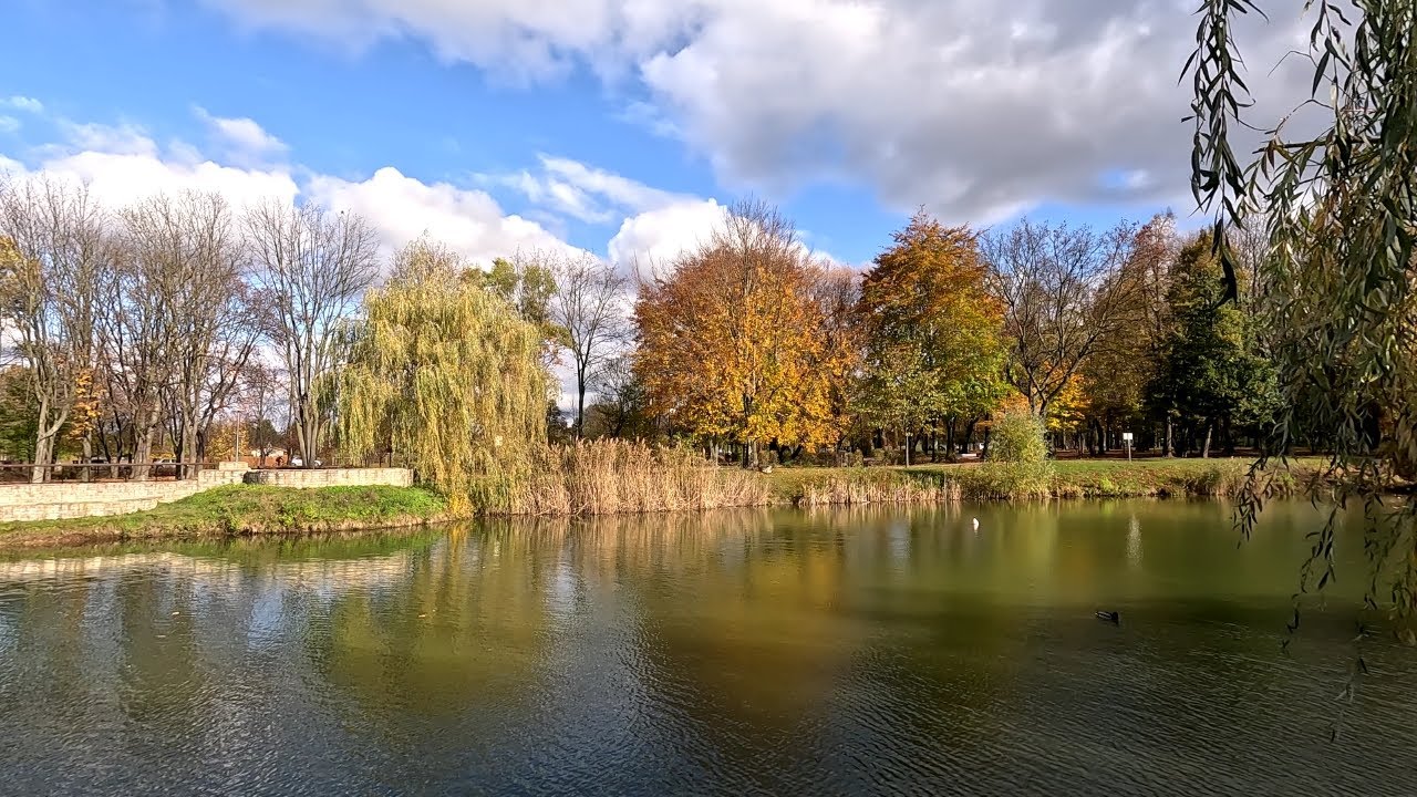 Bytom park Kachla 2023.11.08 4K