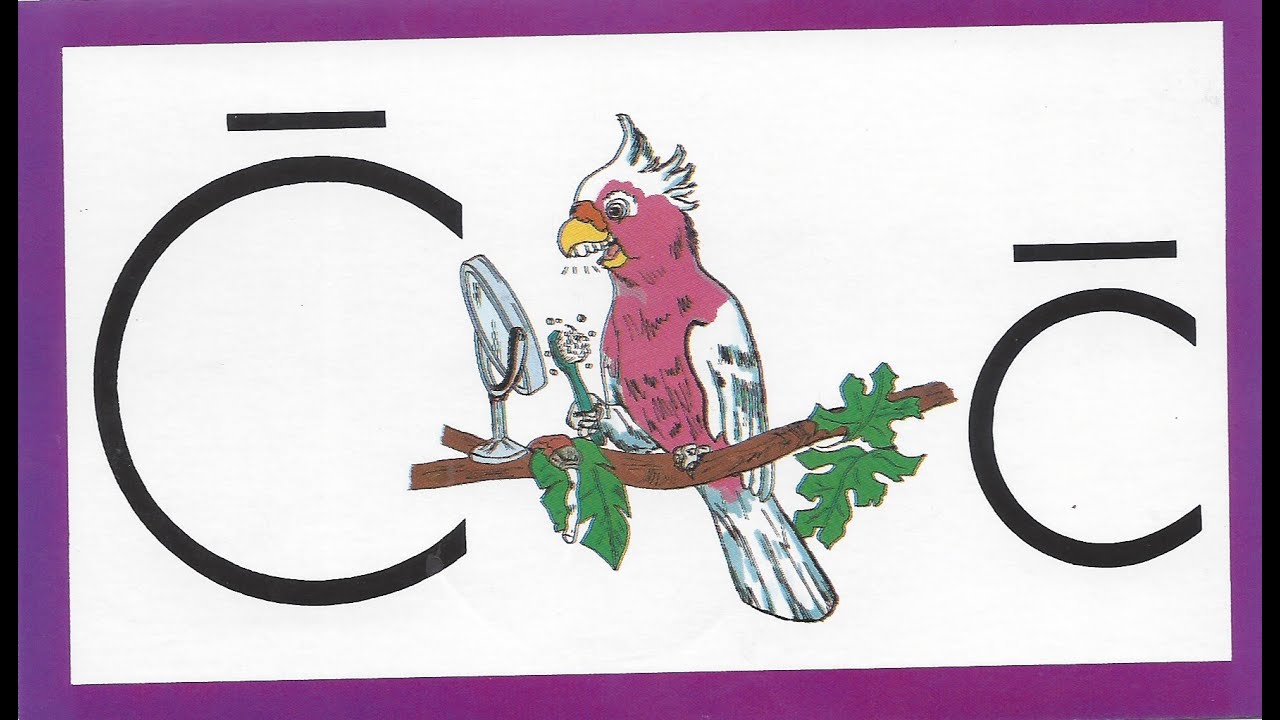 1008 03 Cockatoo - Learn to Read with Ace and Christi (A.C.E. Accelerated Christian Education)