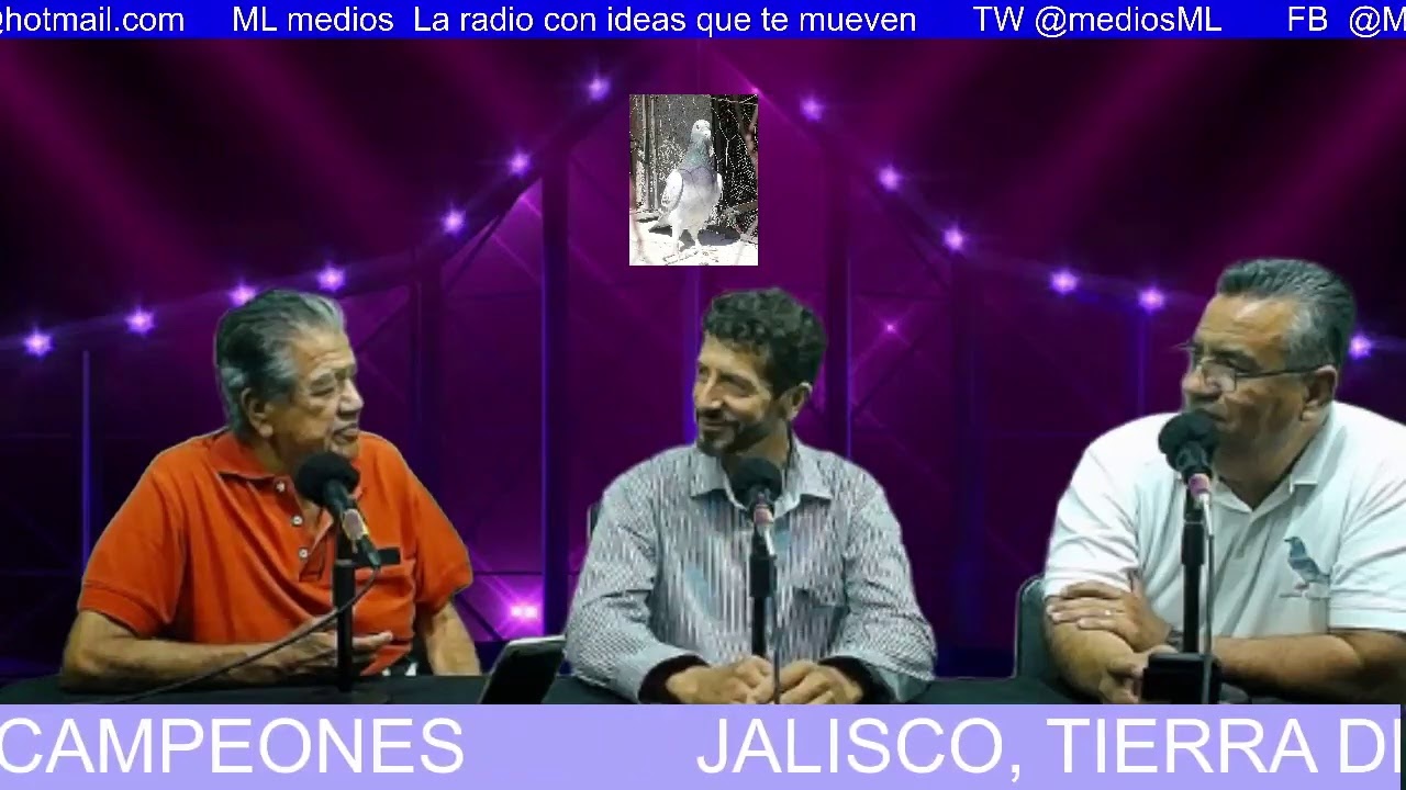 PALOMAS; JALISCO, TIERRA DE CAMPEONES. ENTREVISTA A OSCAR ACEVES HERNÁNDEZ (EL PALOMO)