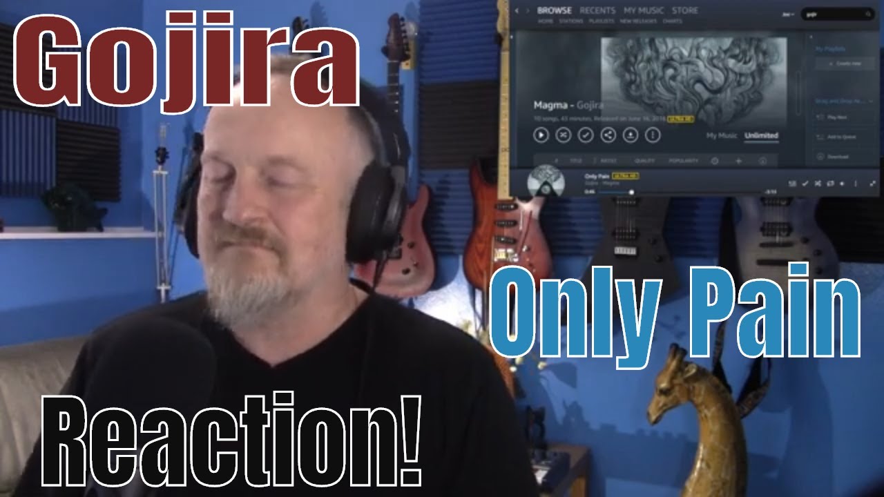 Gojira - Only Pain  (Reaction)