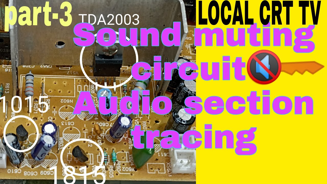 Sound muting & Audio section Explain