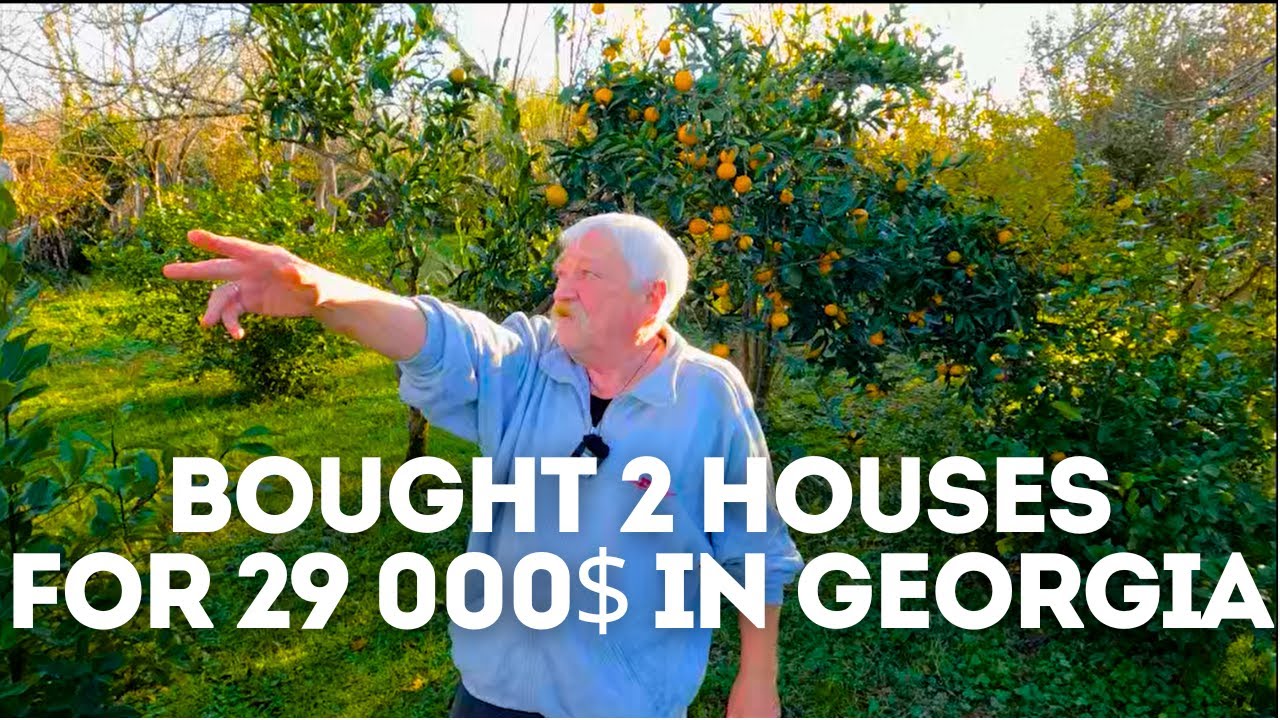 Bought 2 houses for 29 000$ with 10 000m2 plot in Georgia