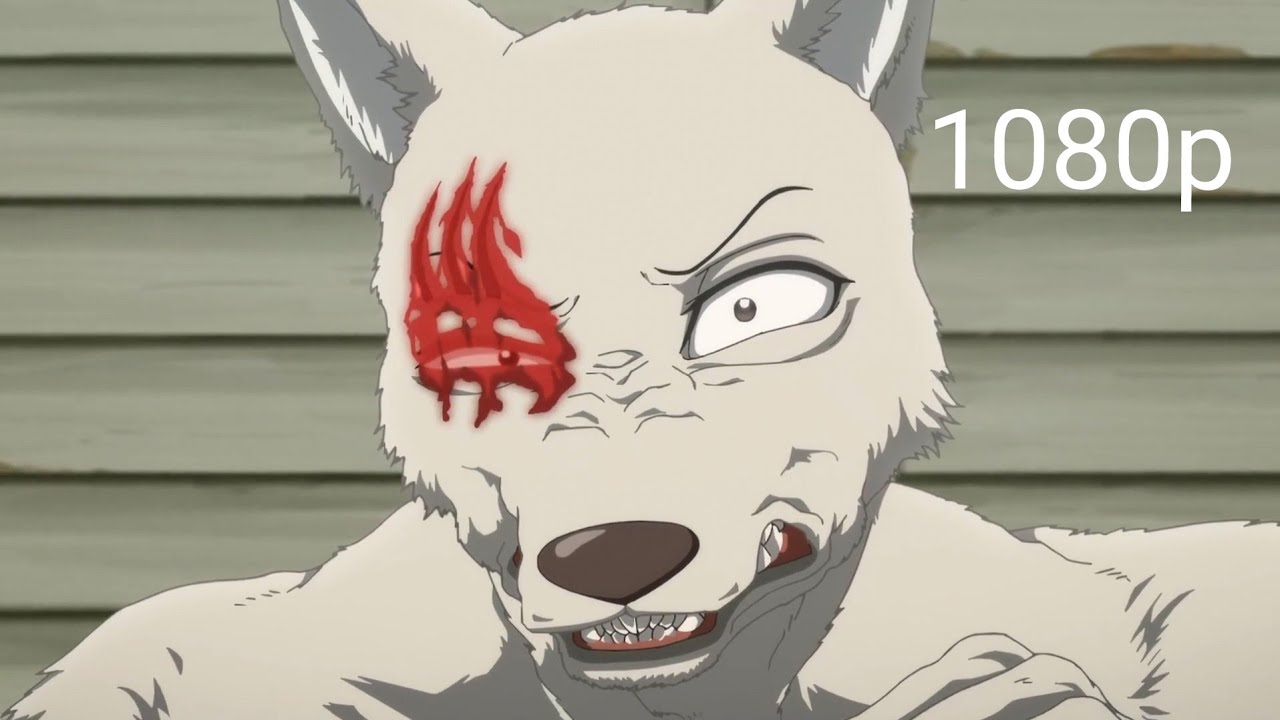 Legosi vs Riz fight part 1 Beastars s2 ep 10 1080p (english sub)