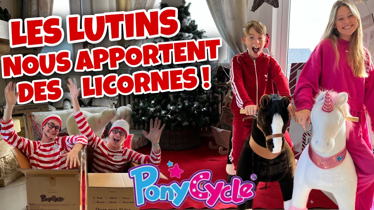 24H AU PAYS DES LICORNES ! On organise une course PONY CYCLE en pleine rue !