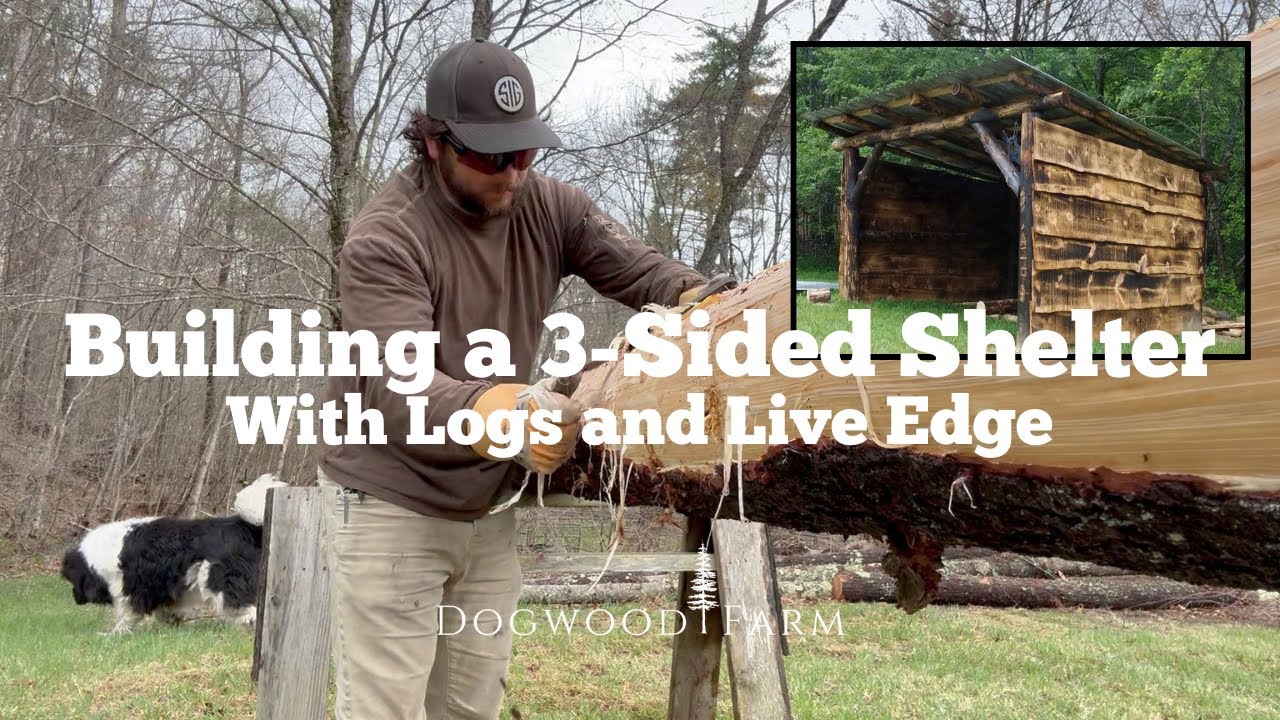 Building a 3-Sided Shelter with Logs and Live Edge [Part 1]