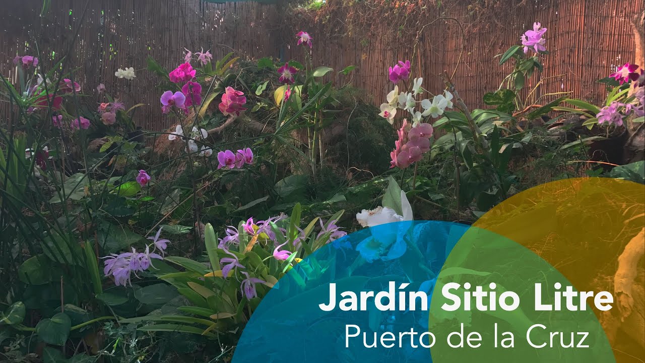 Jardín Sitio Litre - Giardino delle Orchidee a Puerto de la Cruz, Tenerife