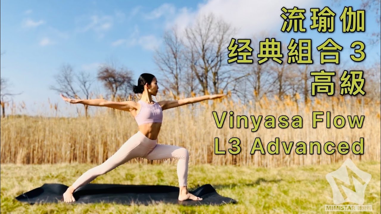 流瑜伽经典组合-高级 (🔥瘦全身 必練) Vinyasa Flow classic 3 - Advanced