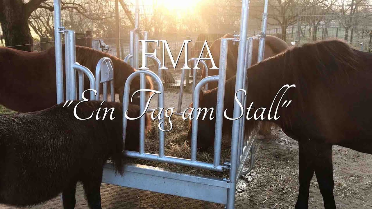 FMA - Ein Tag mit mir am Stall! Aktion pur... | Lina