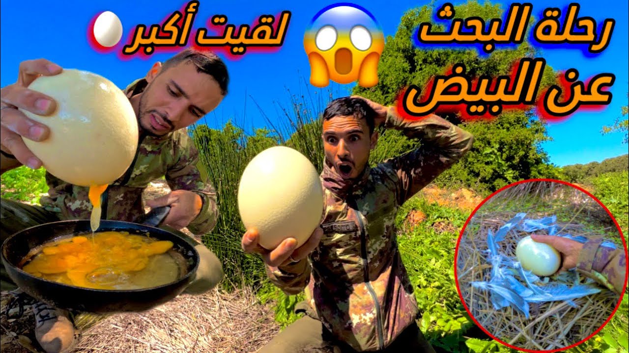 العيش الحر:🏕️رحلة البحث عن بيض🥚البط🦆شوف👀أشنو لقيت ميمكنش