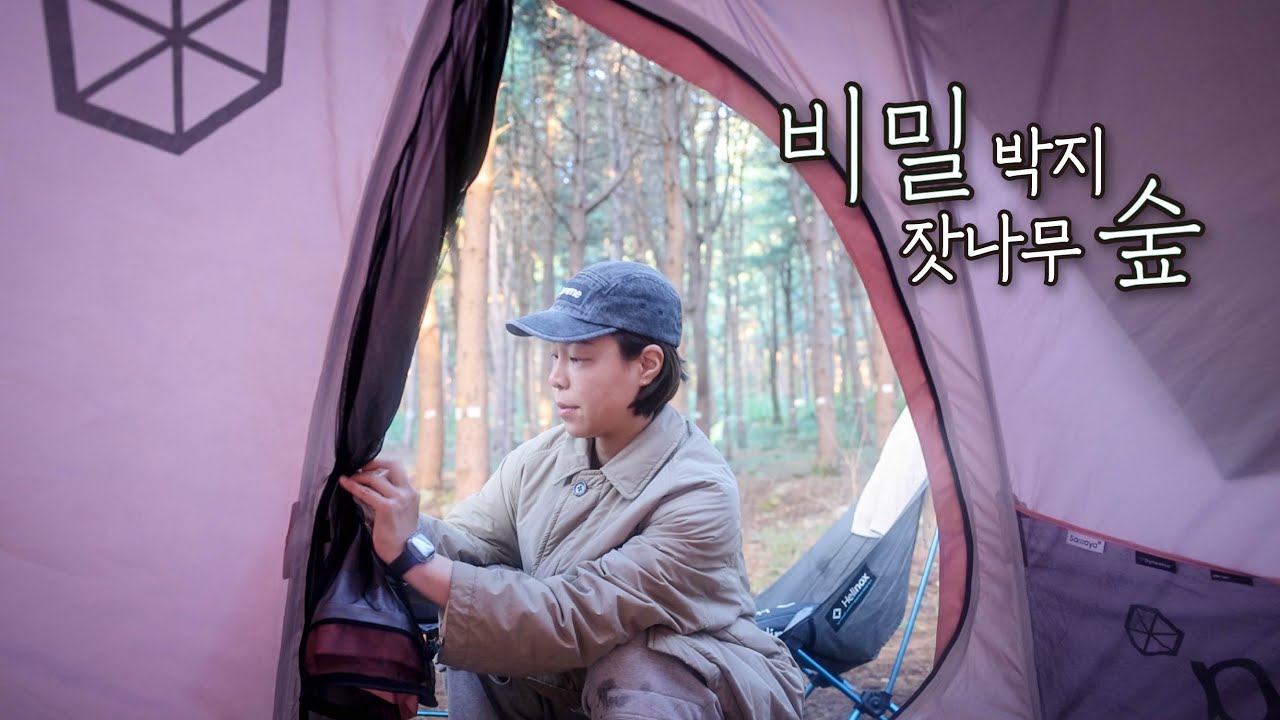도보 5분 잣나무 숲 백패킹 l 호명산? 서리산? 이제 안녕.ㅣ반려견 동반 여행