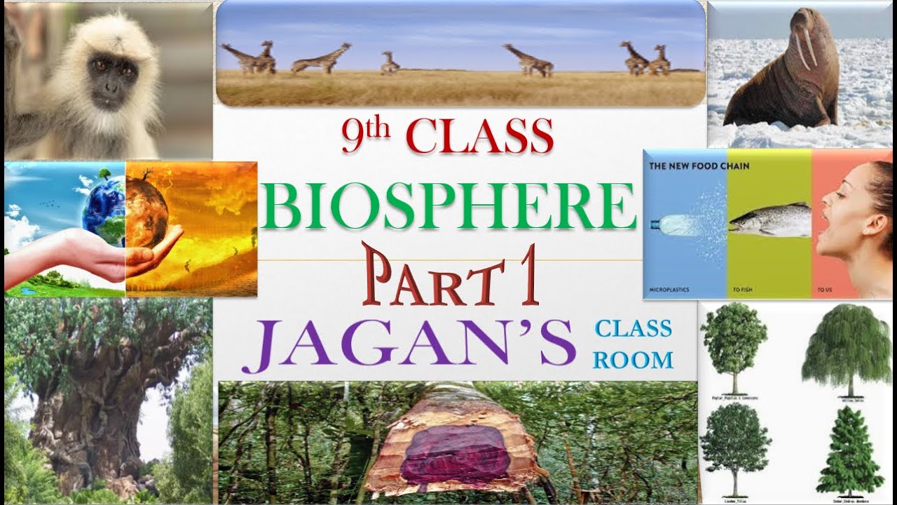 BIOSPHERE Part 1 - 9th Class 5th Lesson Useful to Telugu & English Medium students in AP & TS