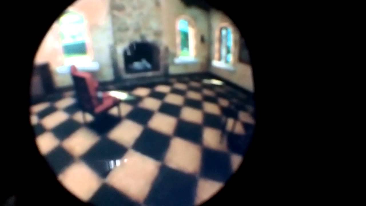 Looking through the Oculus Rift