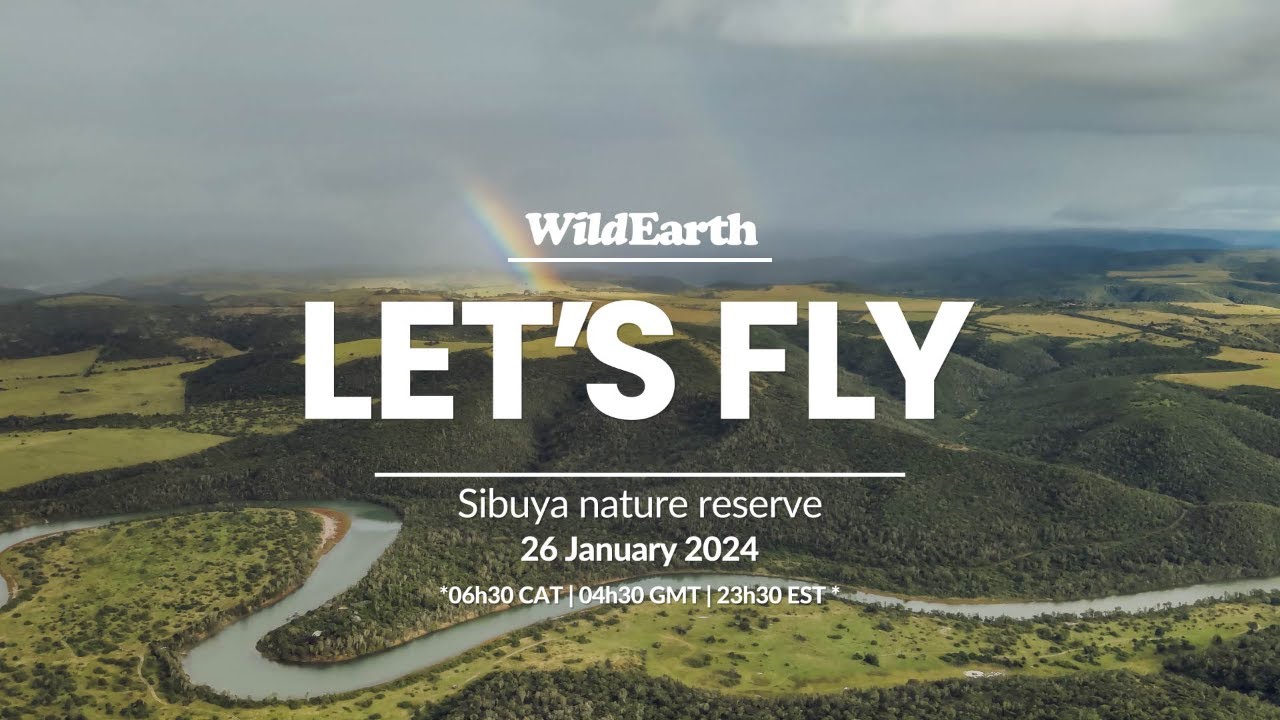 Let’s Fly… Sibuya Nature Reserve