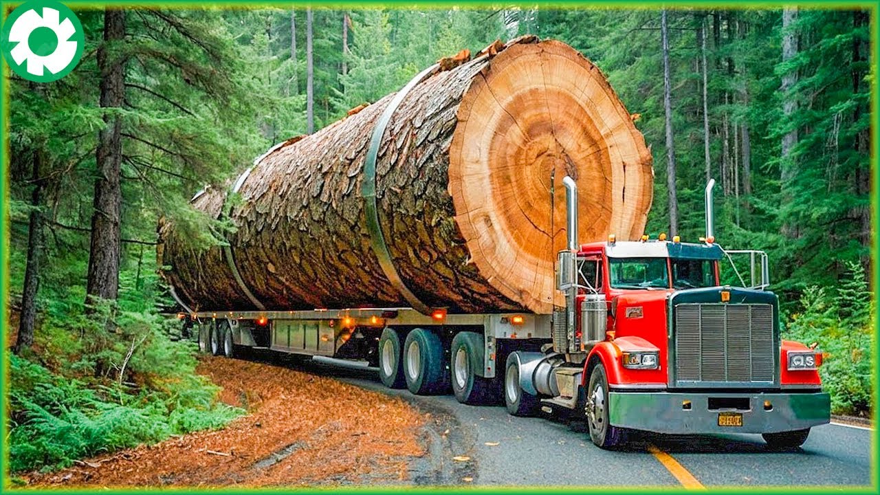 Extreme Big Logging Wood Truck Transport Skills | Biggest Heavy Machinery Machines #2