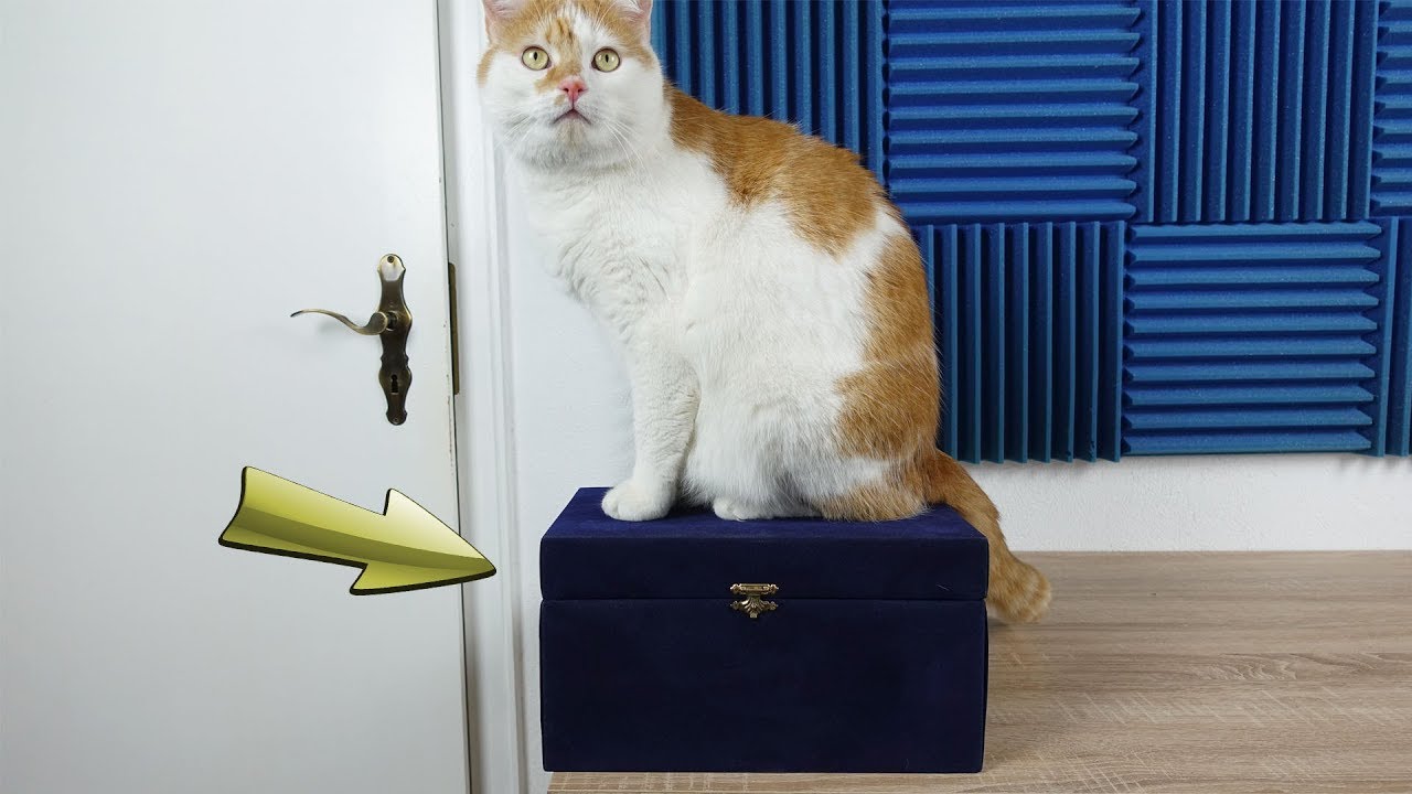 Blaue Schatzkiste für 150€ auf Ebay Kleinanzeigen gekauft! - Was ist da drin?