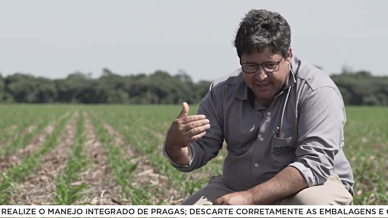Manejo da lagarta-do-cartucho no milho com o pesquisador Ricardo Barros
