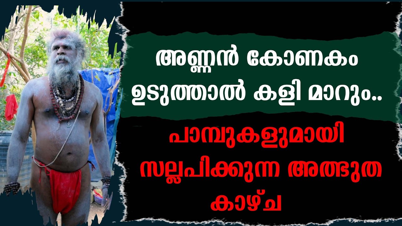അണ്ണൻ കോണകം ഉടുത്താൽ കളി മാറും | പാമ്പുകളുമായി സല്ലപിക്കുന്ന അത്ഭുത കാഴ്ച