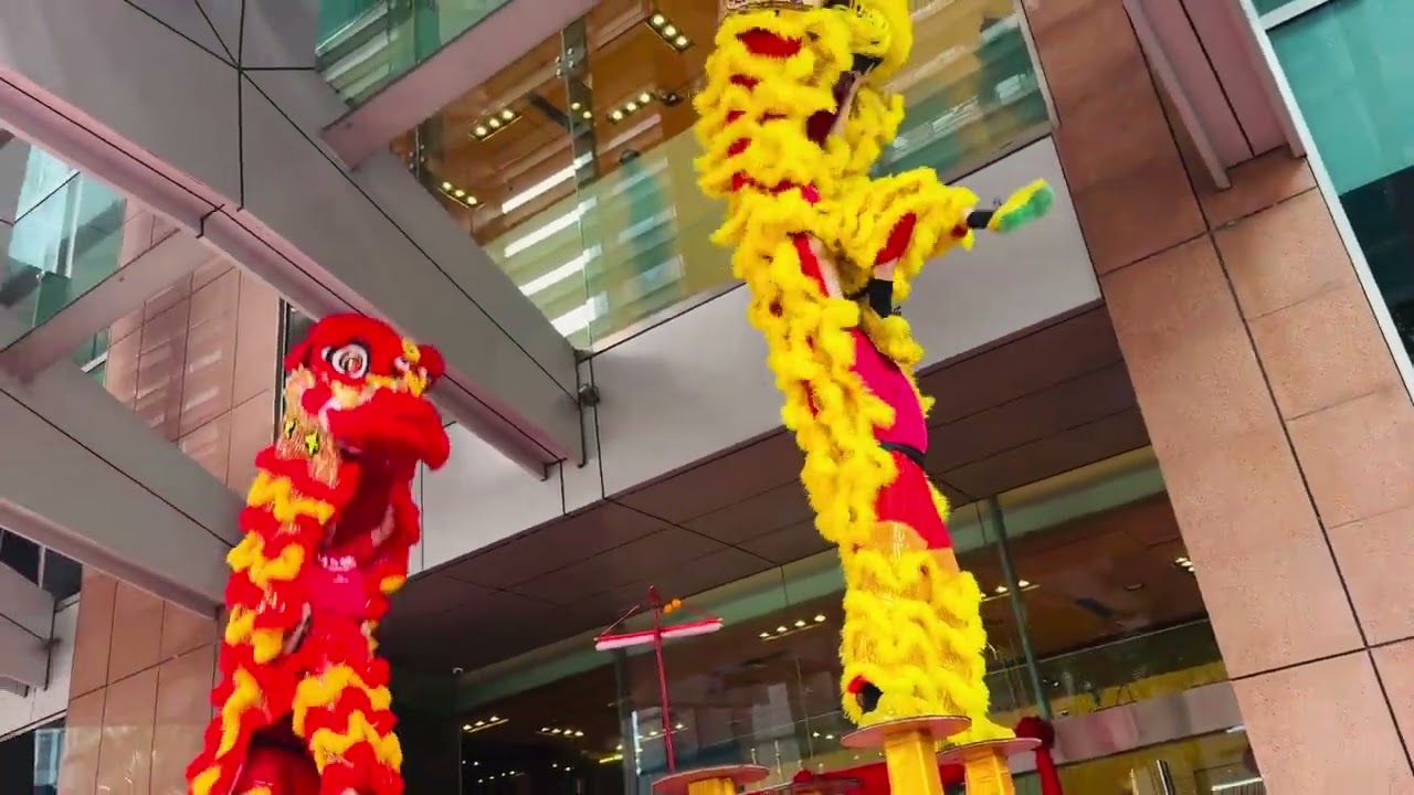 蔡李佛南胜体育会 #2026  #年初七 #liondance  #Traders Hotel #高桩双狮表演