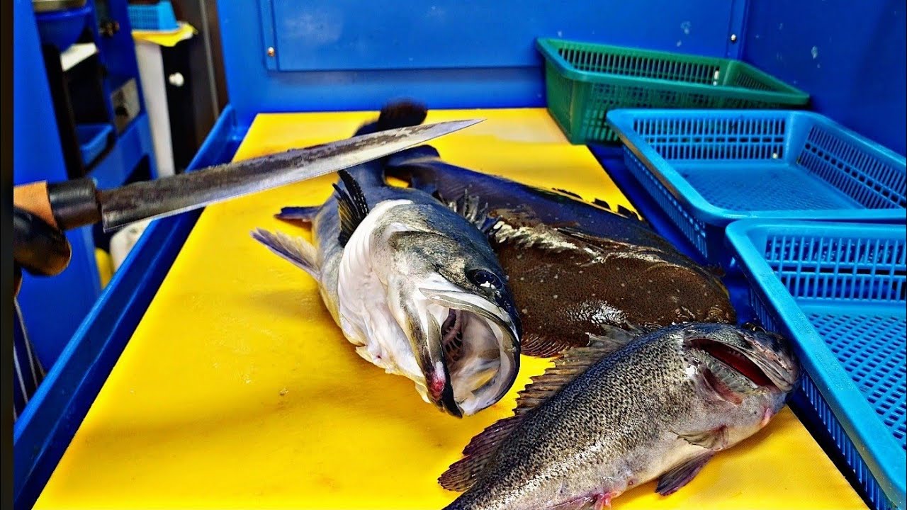 Лосось, камбала, морской окунь, окунь, сашими