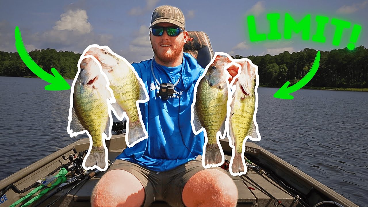 Catching BIG CRAPPIE!! Using The LOWRANCE EAGLE EYE 9 LIVE!
