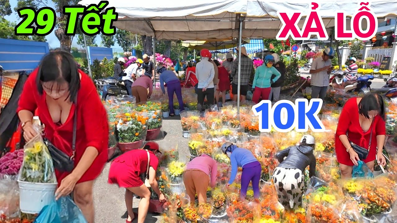 QUÁ THÊ THẢM 29 TẾT BÀ CON XÃ LỖ HOA ĐỒNG GIÁ 10K/CHẬU TO ĐÙNG TẠI HOA TẾT CAO LÃNH ĐỒNG THÁP 2026