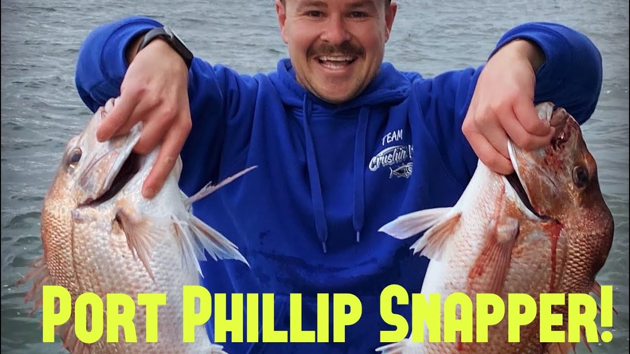 Port Phillip & Corio Bay Snapper (LAAC Annual Snapper Comp)