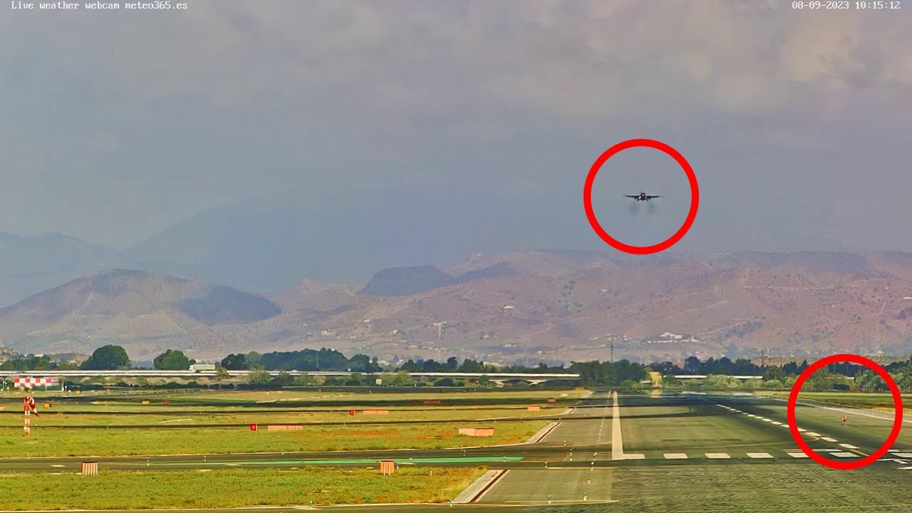 Esta mañana en el aeropuerto de Málaga: Un ave obliga a un avión de un aterrizaje frustrado