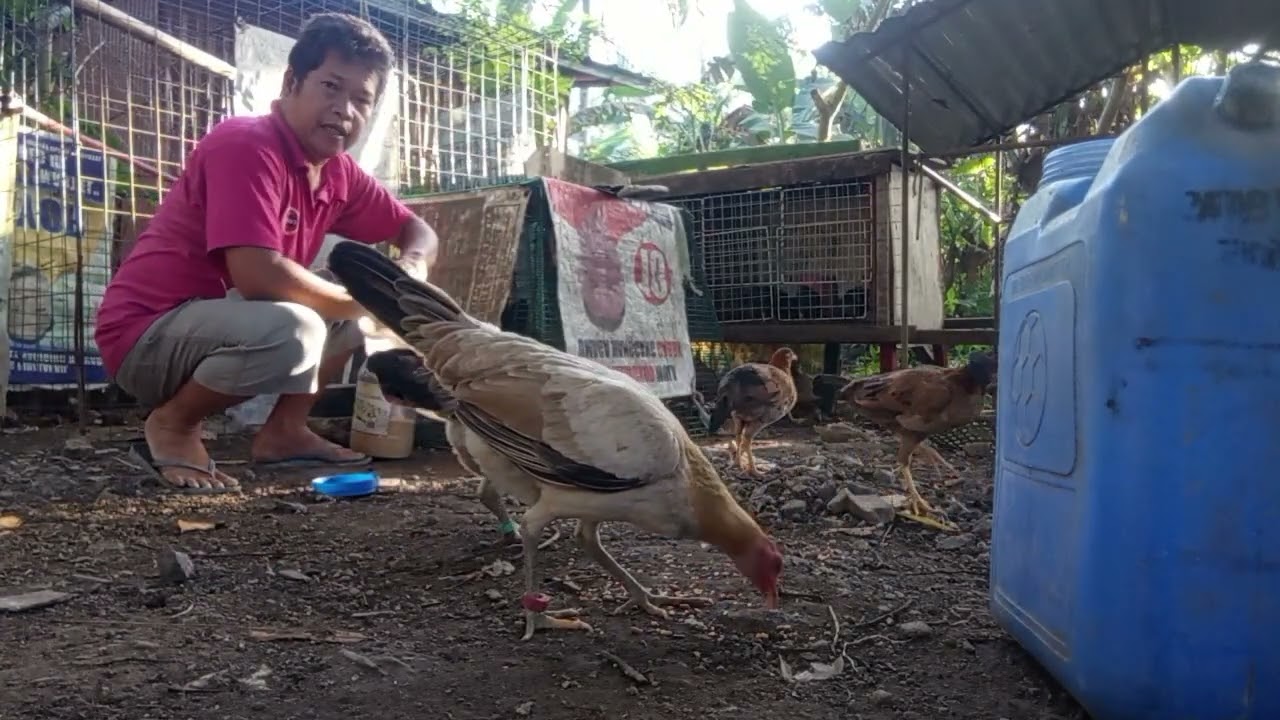 NAG LUTO SI MISIS MERYINDA♥️♥️♥️