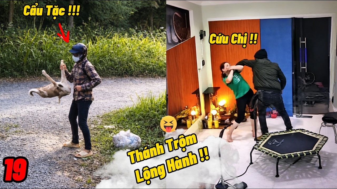 Tình Huống Hài Hước Khi Cẩu Tặc Gặp Được Anh Cún Ngây Thơ Nhất Làng / Vui An Ninh VN
