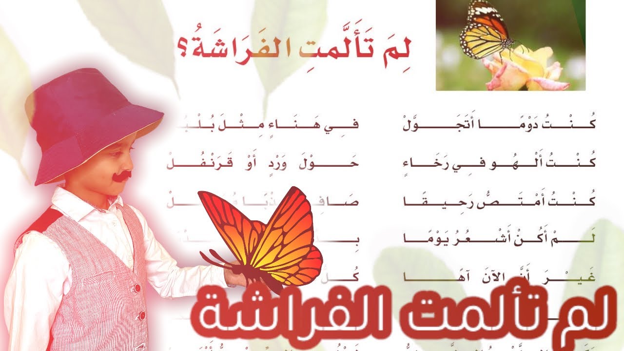 نشيد لم تألمت الفراشة | لغتي الصف الرابع الابتدائي | قصص نواف