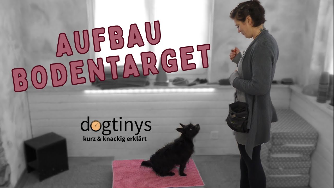 Boden -Target: Hund beibringen auf ein Bodentarget zu gehen🐾 | dogtiny (Hochdeutsch)