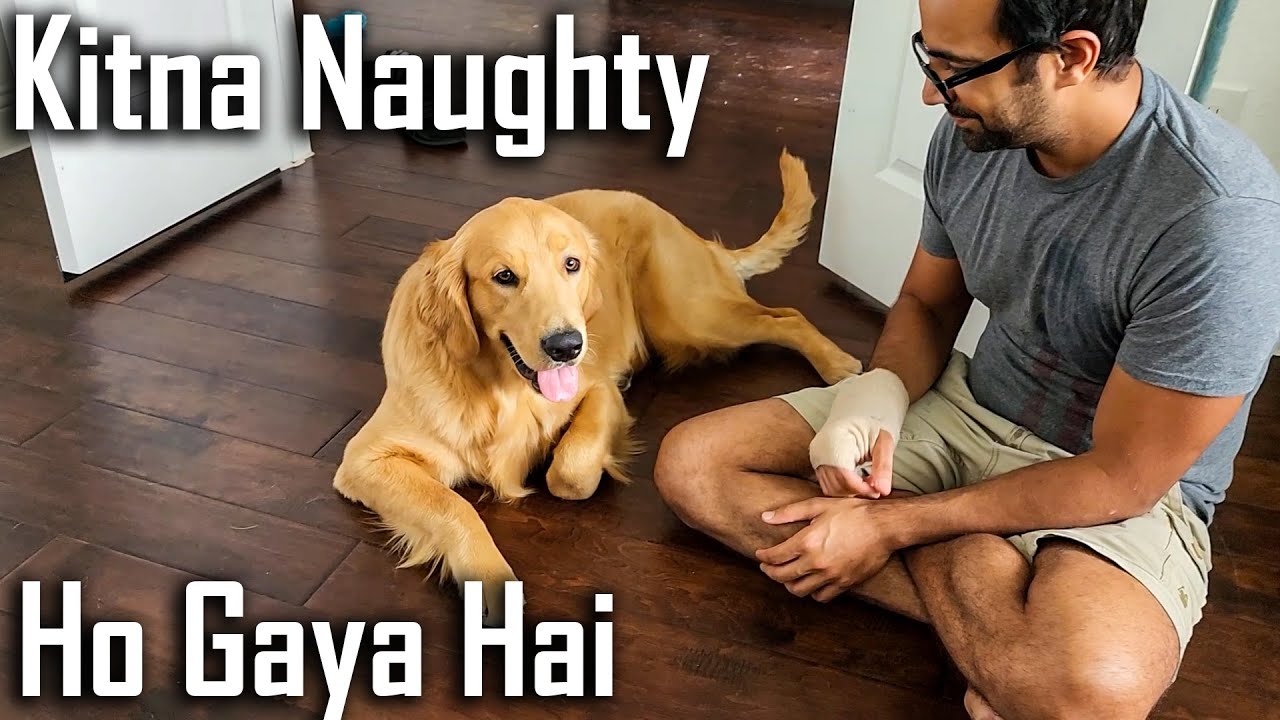 Kuch Kaam Nahi Karne De Raha Ye | Indian Vlogger in USA