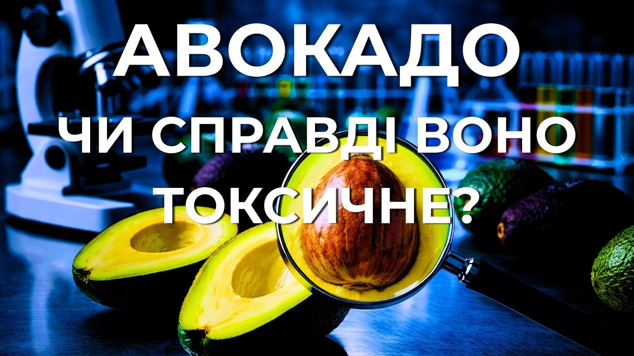 Авокадо: чому воно не солодке, токсичне і ніколи не дозріває на дереві? Користь і шкода