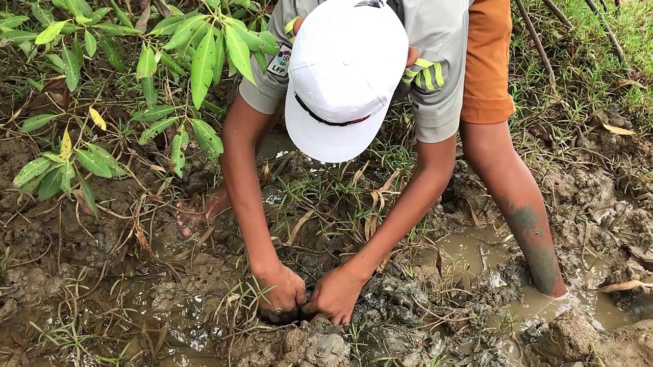 Amazing children catch sea crab - Catching sea crab at mangrove forest | Net Fishing