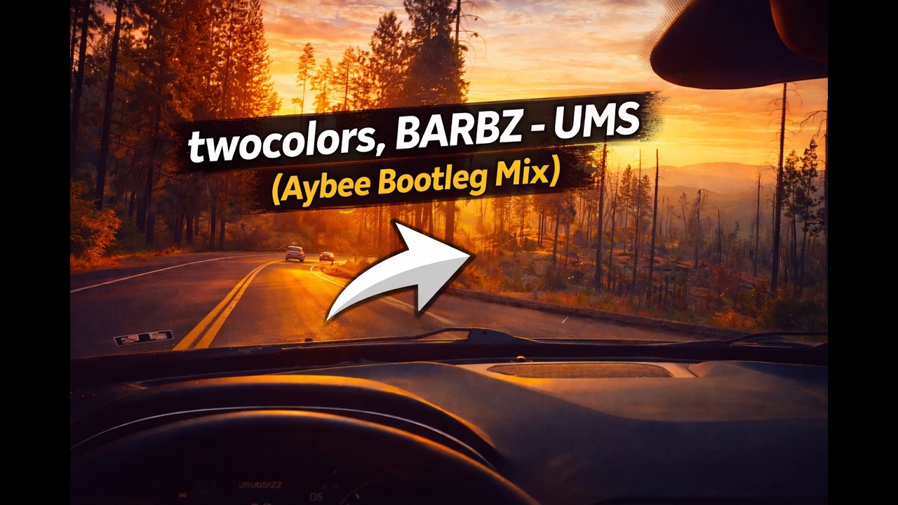 twocolors, BARBZ - UMS (Aybee Bootleg Mix)