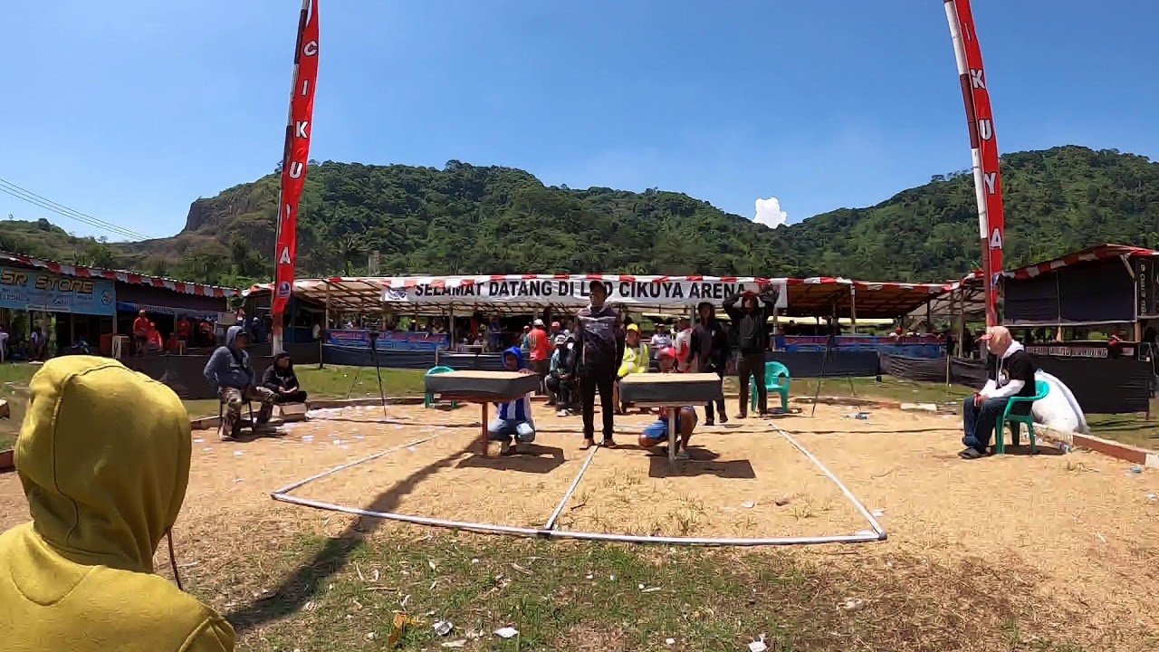 [🔴Live 100 Juta LGD Cikuya ] - Babak 4 Kloter 2-6