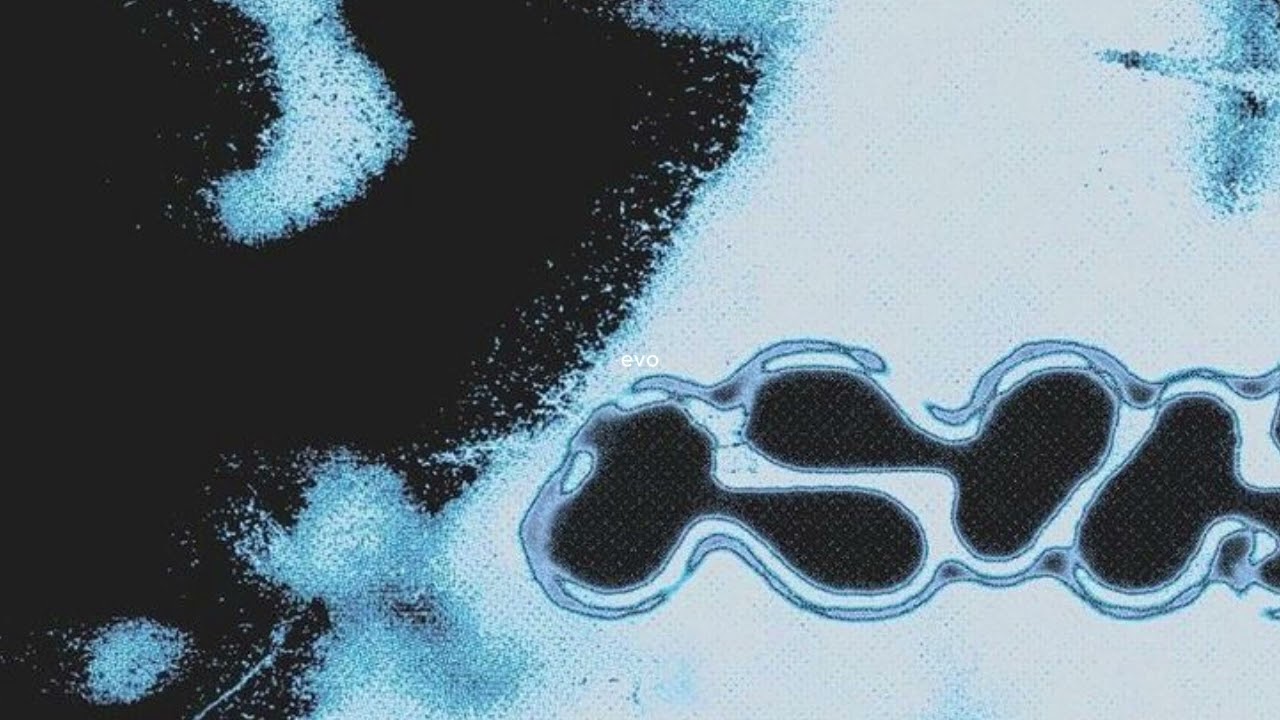 GQOM INSTRUMENTAL - sand  - gqom type beat (prod. evo)