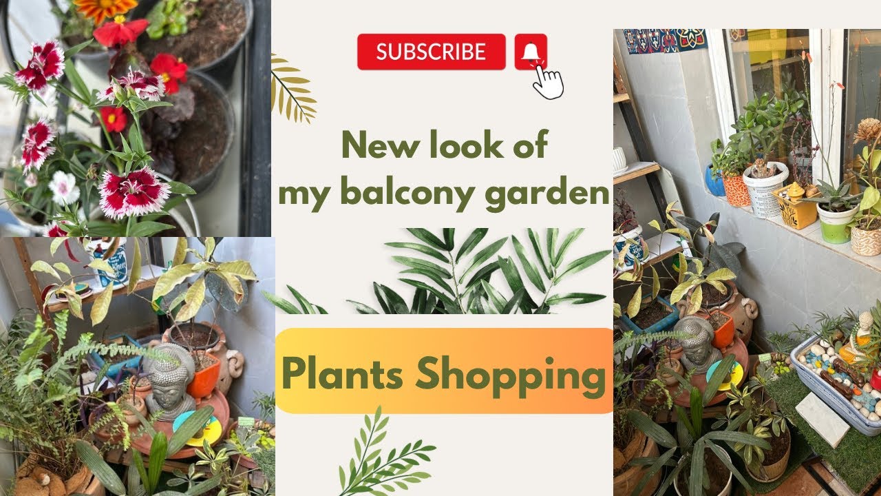 My new balcony garden look || Added few more plants #gardening #balconygarden 