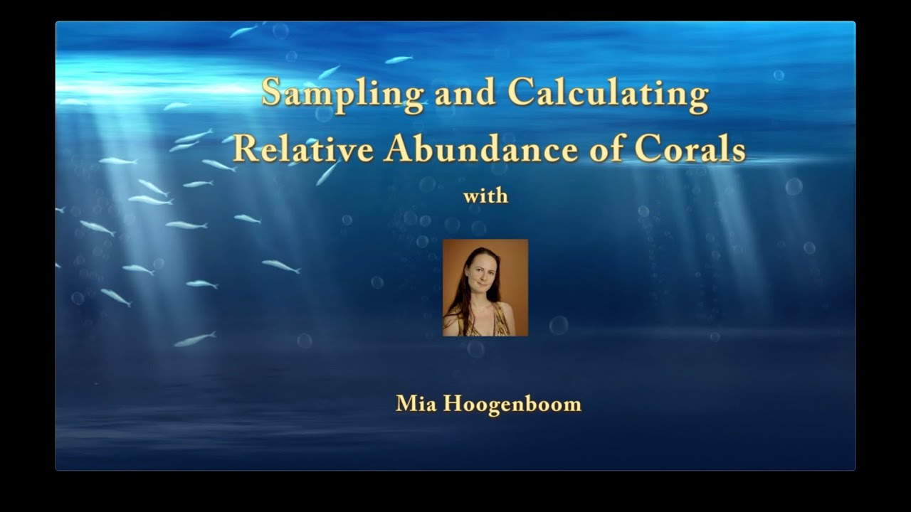 How to determine the relative abundance of coral growth forms on a reef - JCU Classroom on the Reef