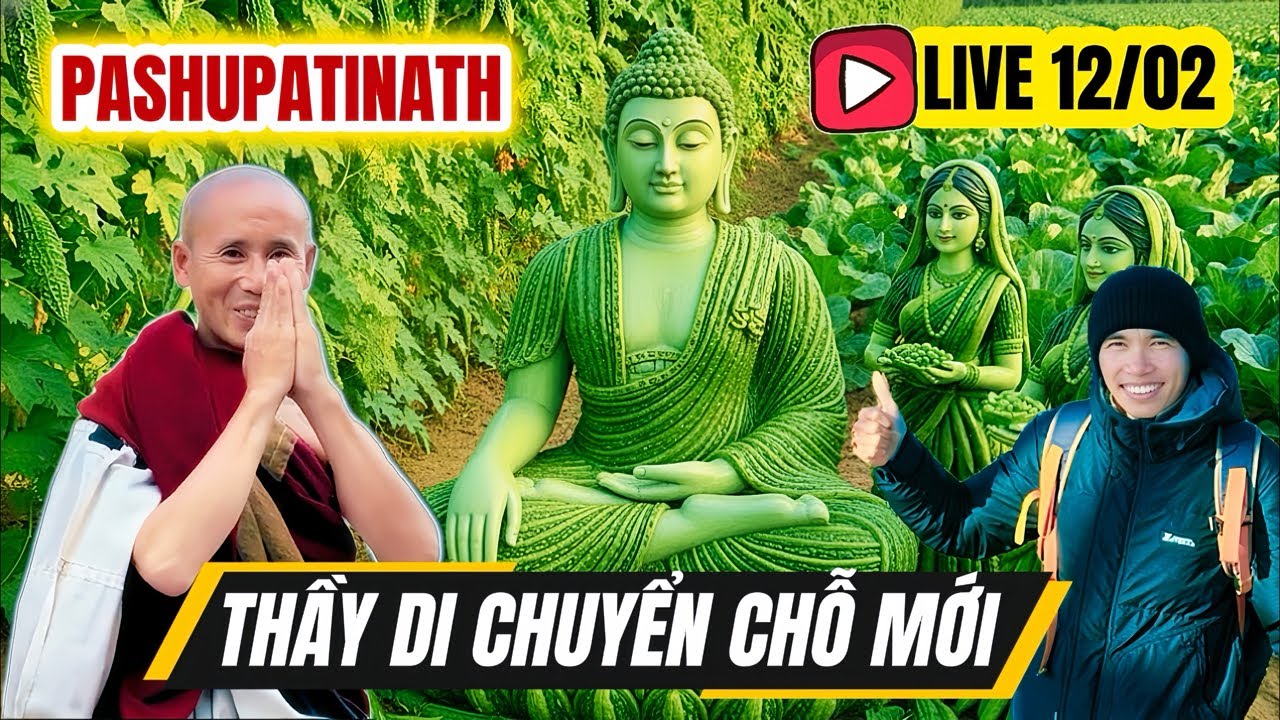 🔥Thầy di chuyển chỗ mới