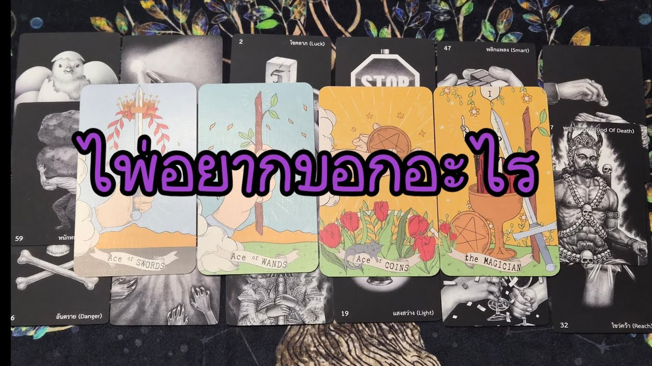 Random Ep.65 ไพ่อยากบอกอะไร #tarot #random #tarotreader 