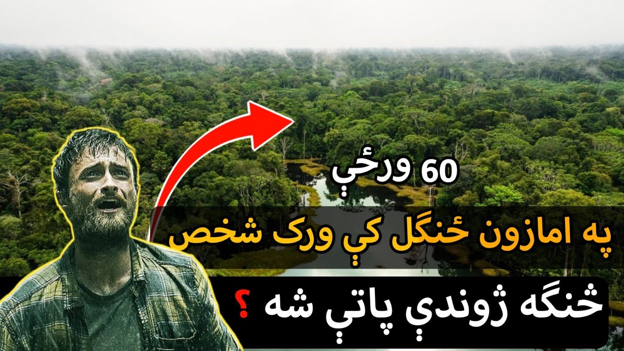 په امازون ځنګل کې تر 60 ورځو ورک شوي شخص څنګه ژوندې پاتې شه ؟