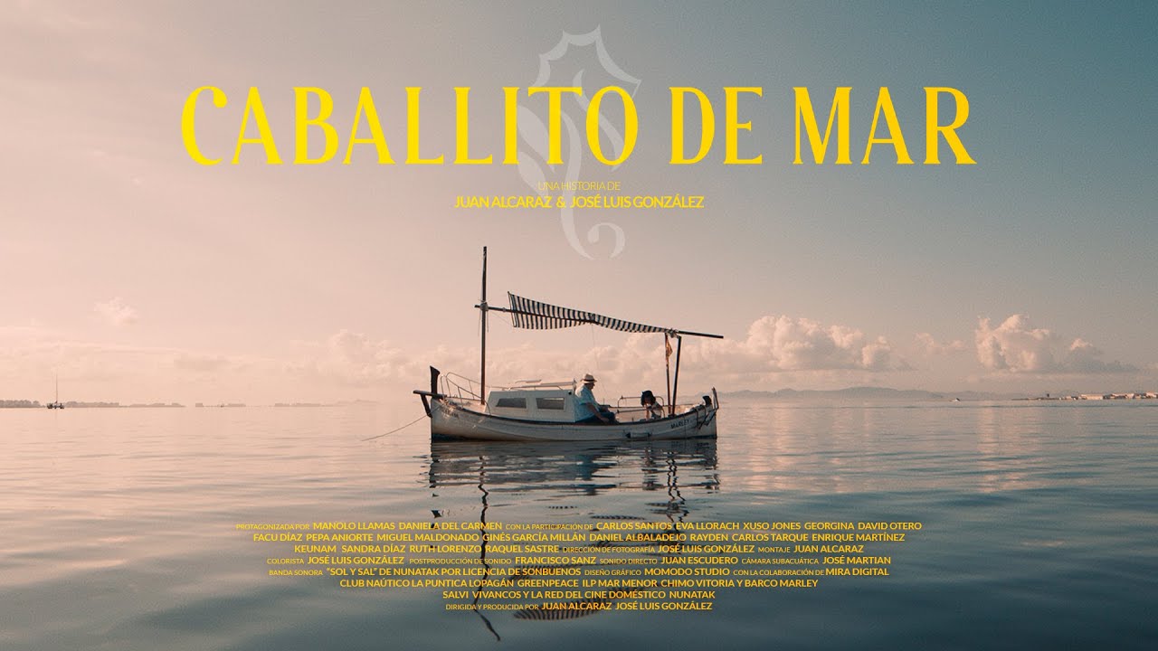 CABALLITO DE MAR | Por un Mar Menor vivo