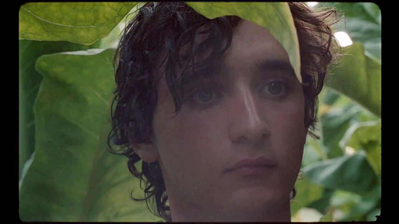HEUREUX COMME LAZZARO de Alice Rohrwacher - Bande annonce