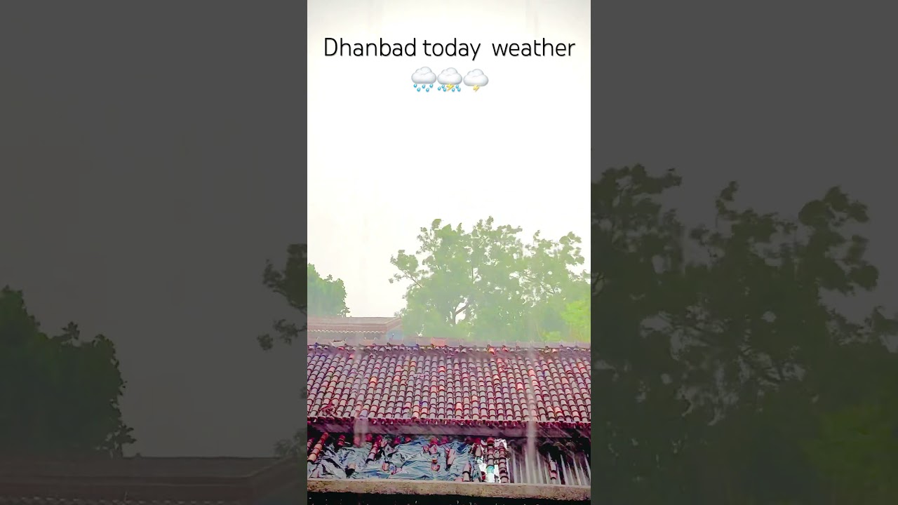 Dhanbad today weather #barish #shortsfeed #shorts #shortvideo #shortsviral #shorts #dhanbad #weather